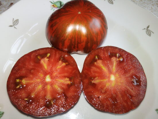 Полосатая амазонка